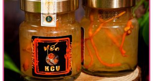 Nhà cung cấp Yến ĐTHT Kim Cương Vàng Hộp Gỗ 6 Lọ chính hãng